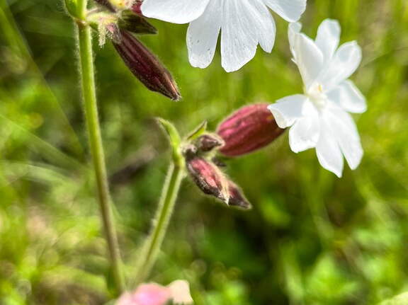 22-05-08 11-01-41 0761